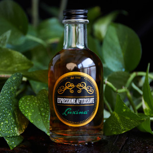 Одеколон Luxina Espressione Aftershave Luxina, 200 мл